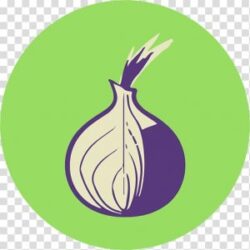 buy onion domain and hosting